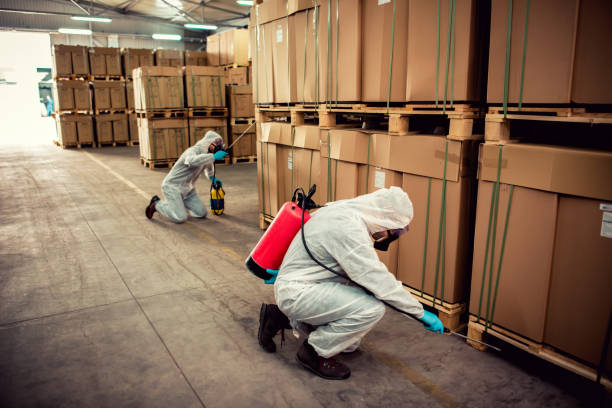 Best Affordable Pest Control Services  in West Haven, CT