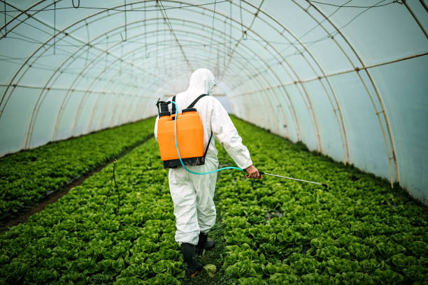 Best Affordable Pest Control Services  in West Haven, CT