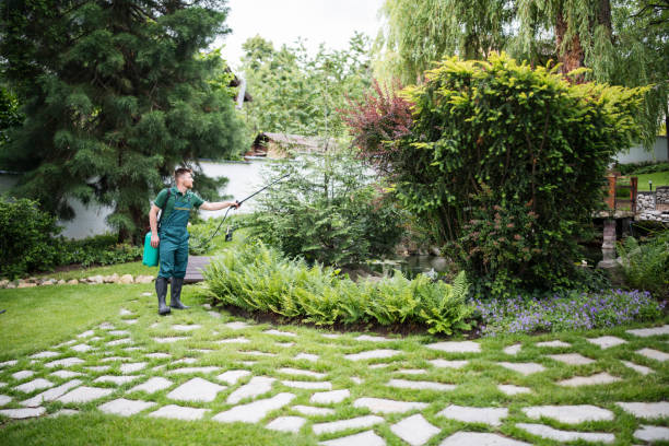 Best Mosquito Control Services  in West Haven, CT