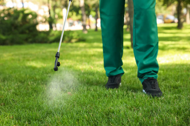 Best Pest Prevention Services  in West Haven, CT