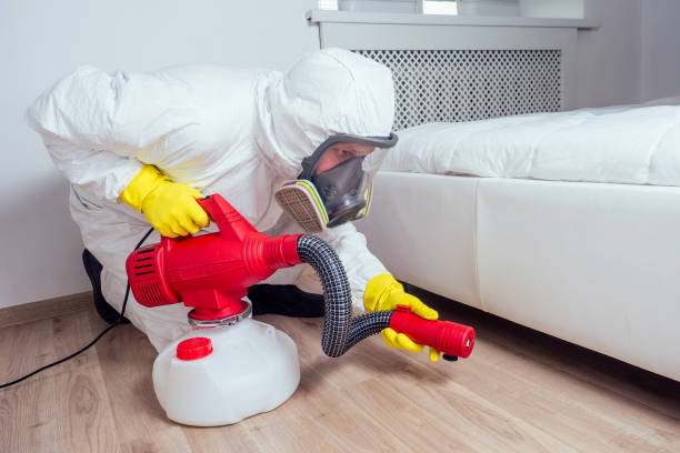 Flea Control Services in West Haven, CT