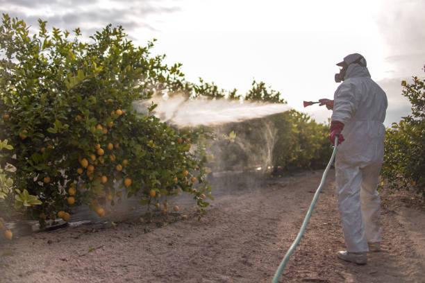 Best Residential Pest Control  in West Haven, CT