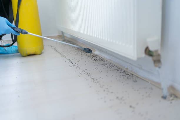 Reliable West Haven, CT Pest Control Solutions