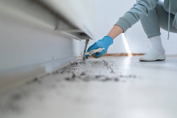 Pest Control Cost in West Haven, CT