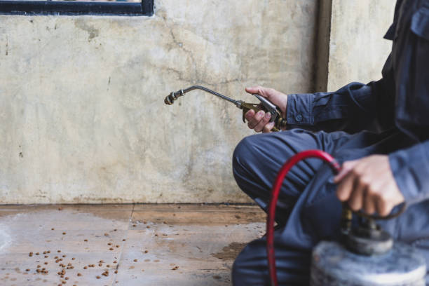 Best Affordable Pest Control Services  in West Haven, CT